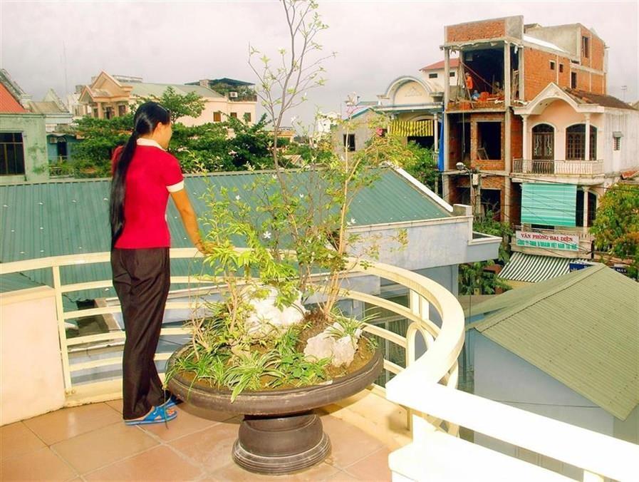 Nhu Phu Hotel Хюэ Экстерьер фото